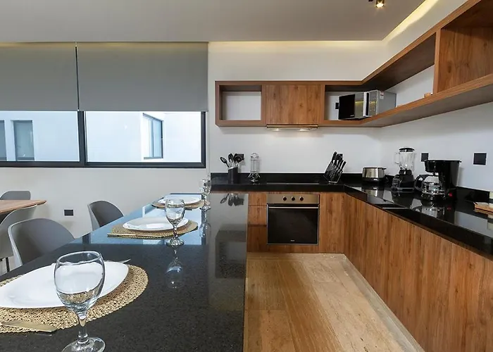 Moderno Depa 2br Con Alberca En Rooftop 5ta Avenida